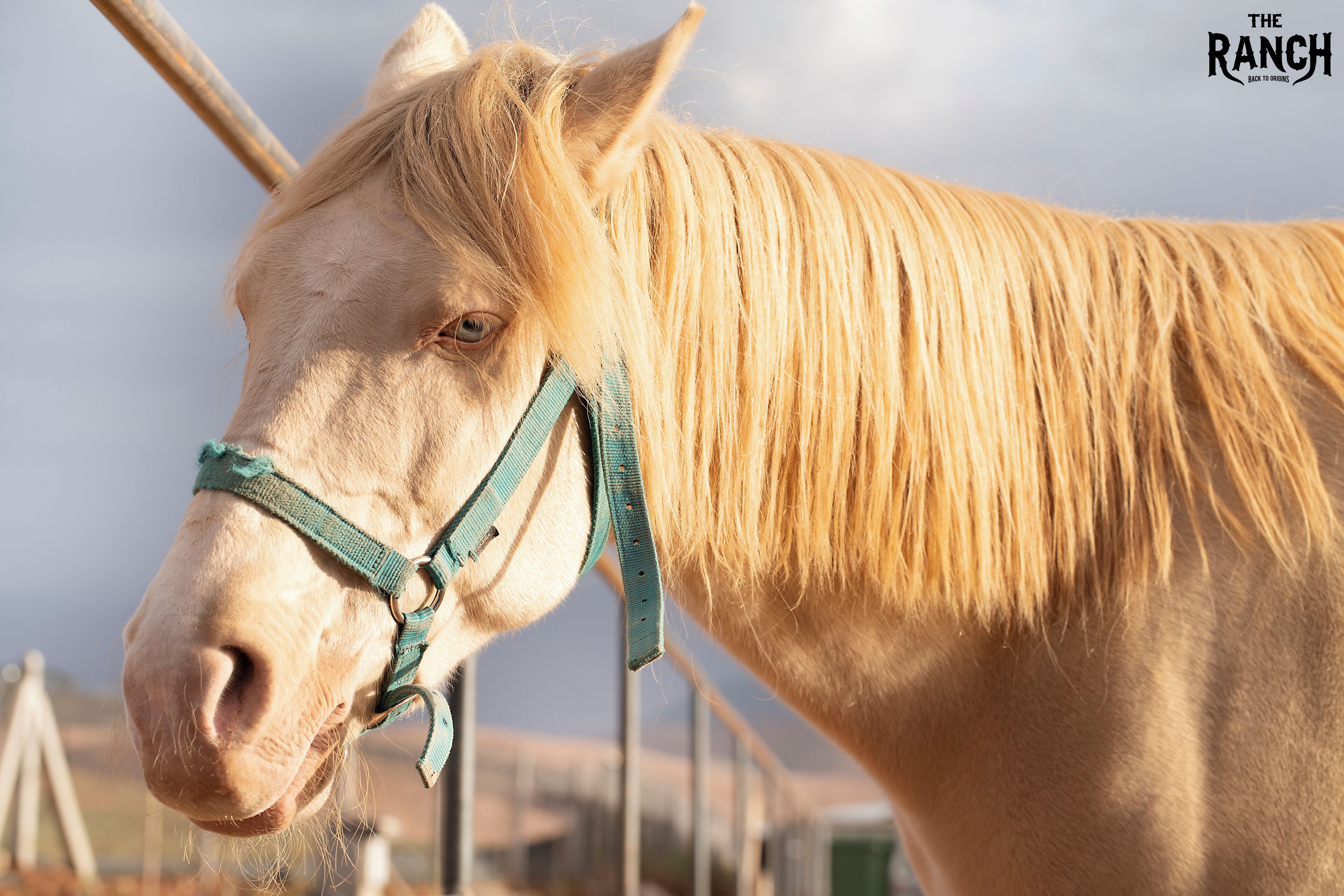 Foto - The Ranch Resort