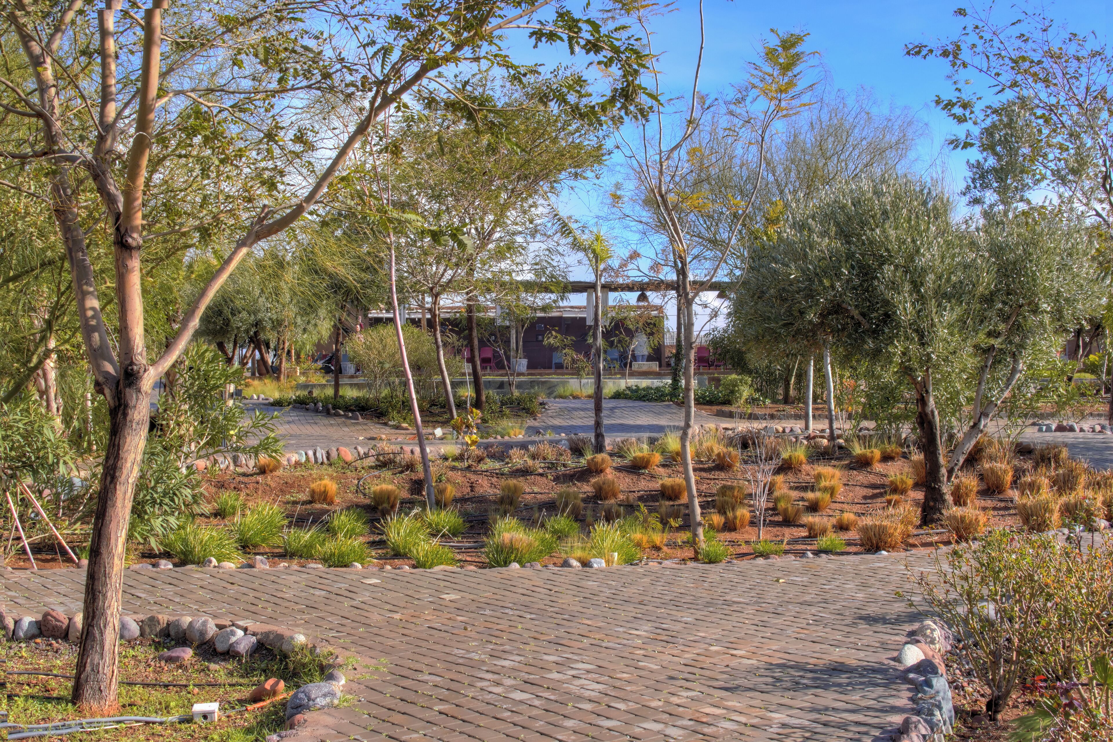 Foto - The Ranch Resort