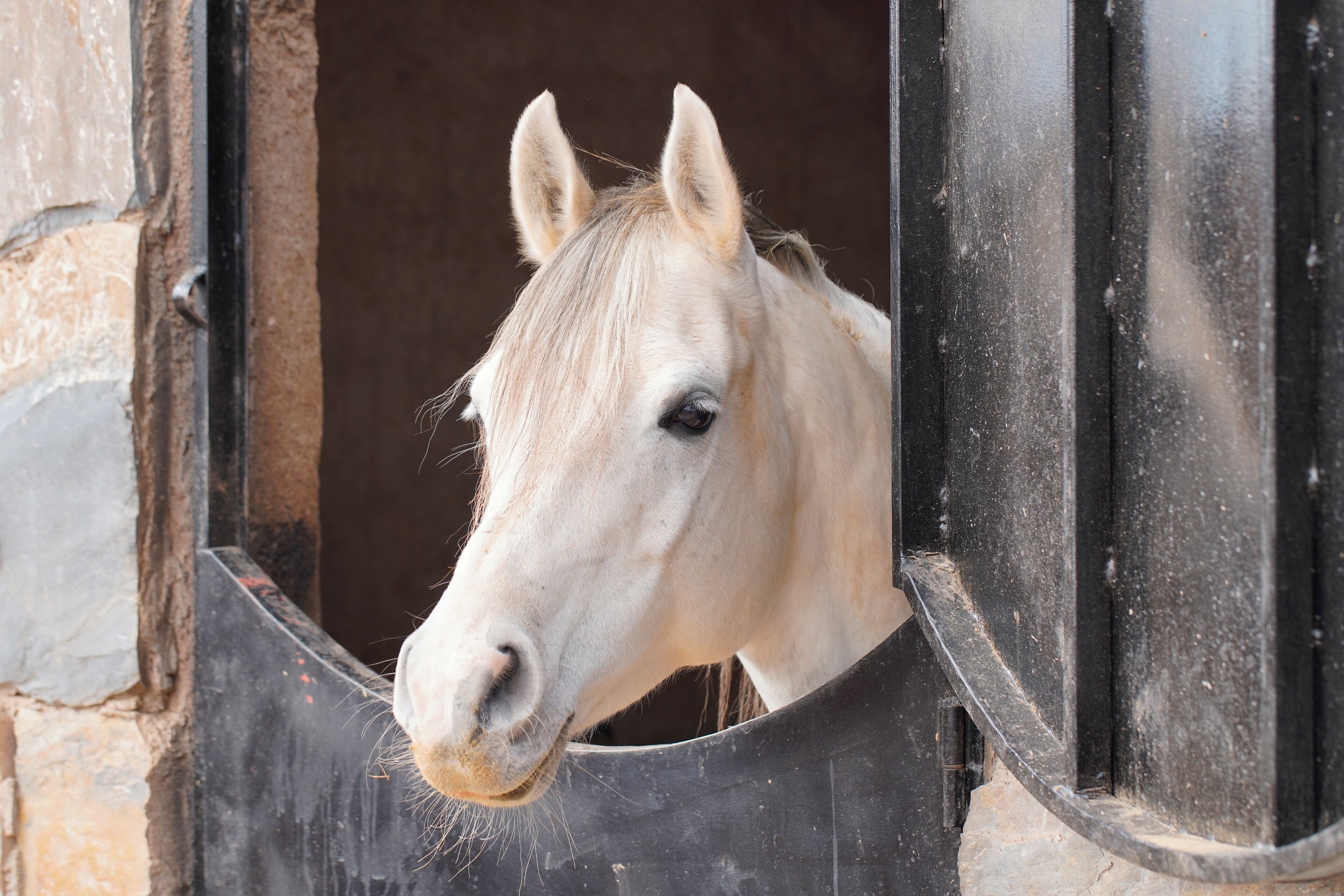 Foto - The Ranch Resort