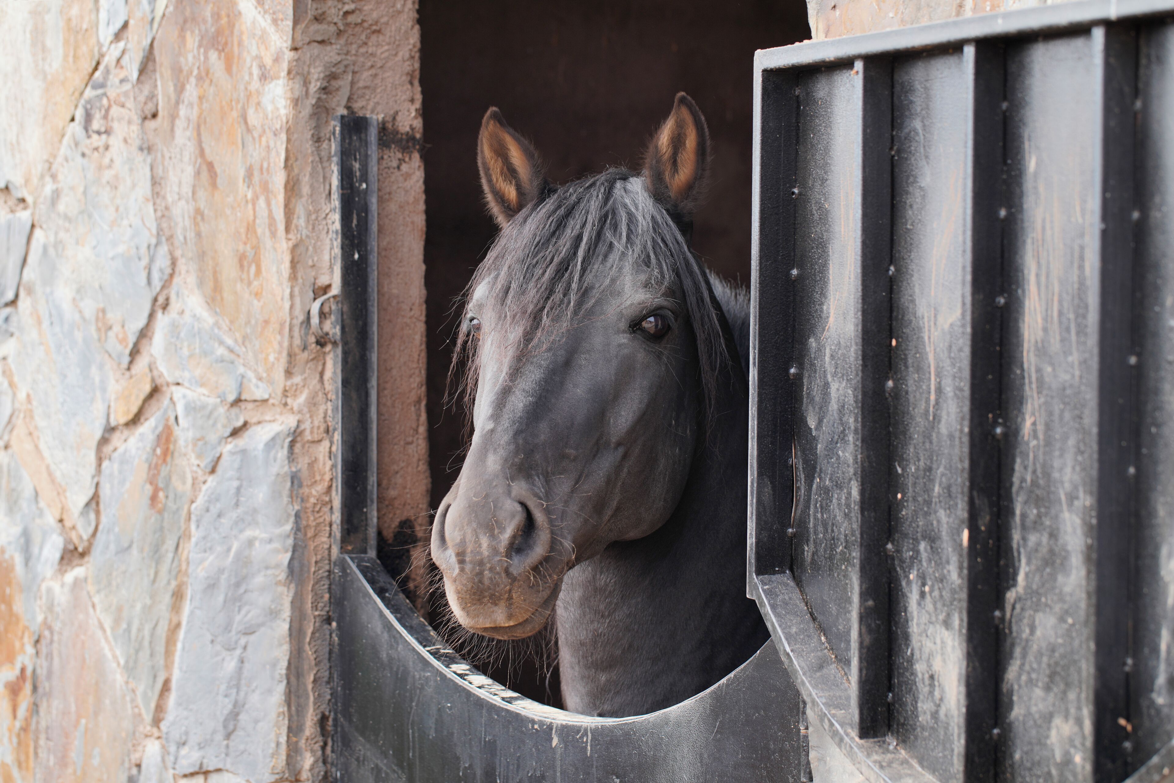 Foto - The Ranch Resort