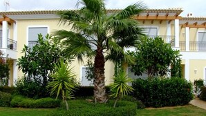 En välskött trädgård med en palm, prydligt klippta buskar och en tydlig gångväg.