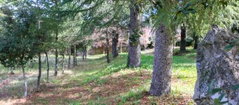 Country House Perda e Testa