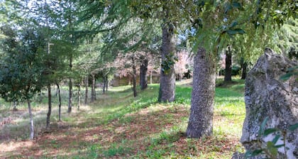 Country House Perda e Testa