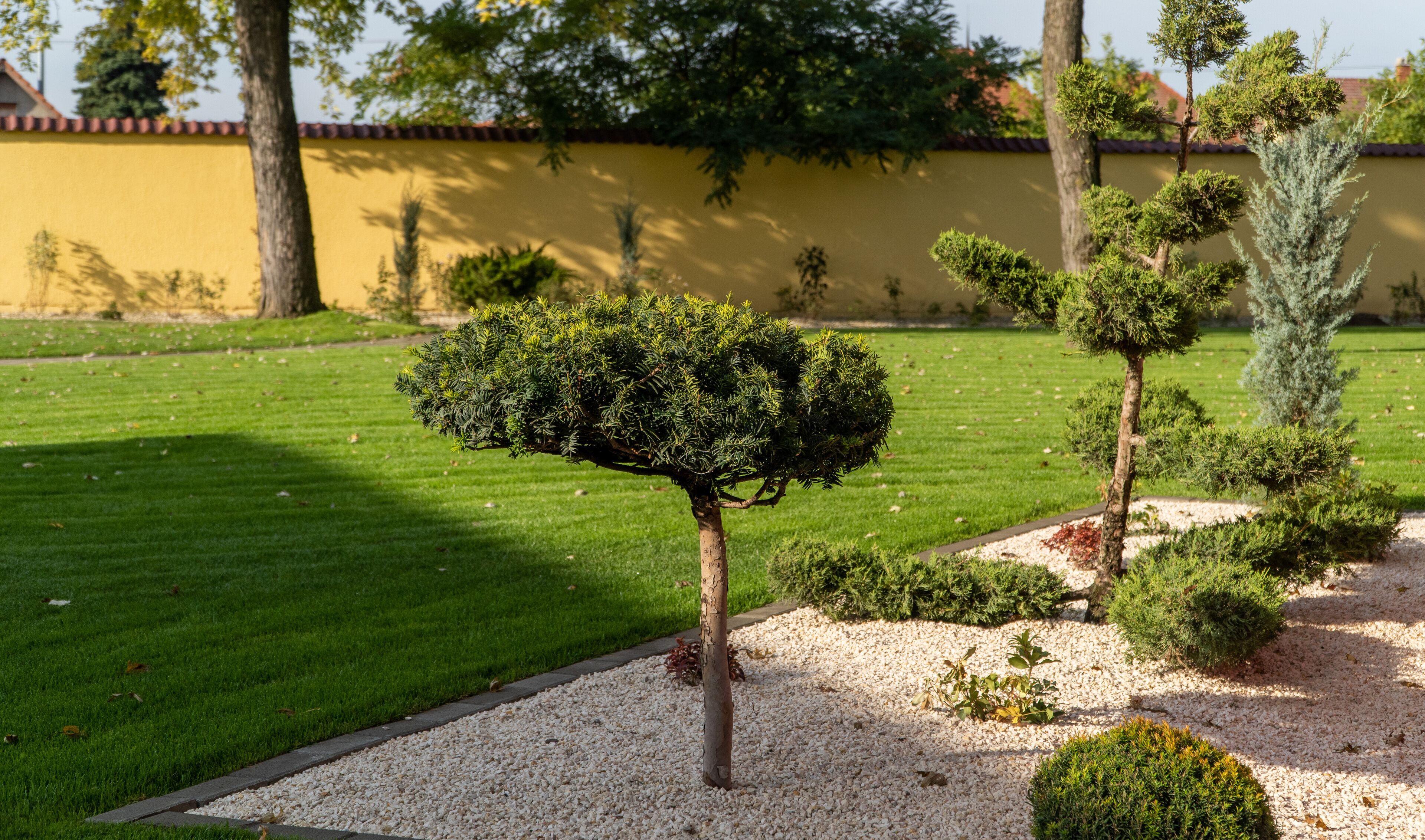 A well-maintained garden with a variety of shrubs and a neatly trimmed hedge.