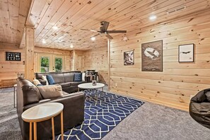 Télévision, cheminée, jeux vidéo