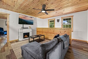 TV, fireplace, video games