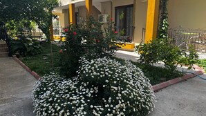 A garden with white flowers and red roses, a yellow building with balconies, and a metal fence.