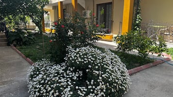 标准双人房 | 客房景观