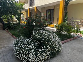 Vista desde la habitación