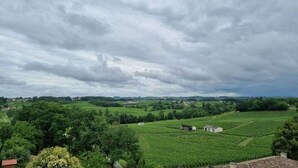 Un paysage de vignoble avec des collines douces et des bâtiments dispersés.