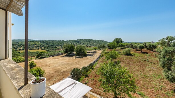 A balcony with a view of a vineyard and olive trees, a potted plant, and a white cloth on the ledge.