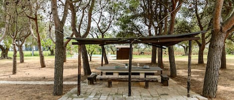BBQ/picnic Area