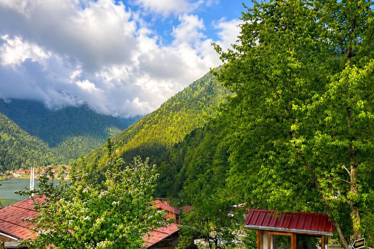 A rustic wooden structure with a red roof, surrounded by lush greenery and a paved area.