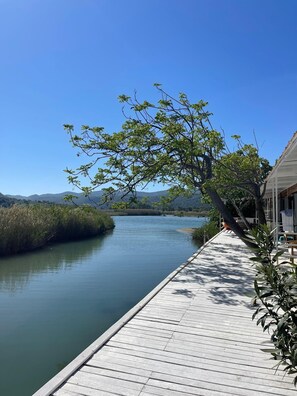 Vista desde la propiedad