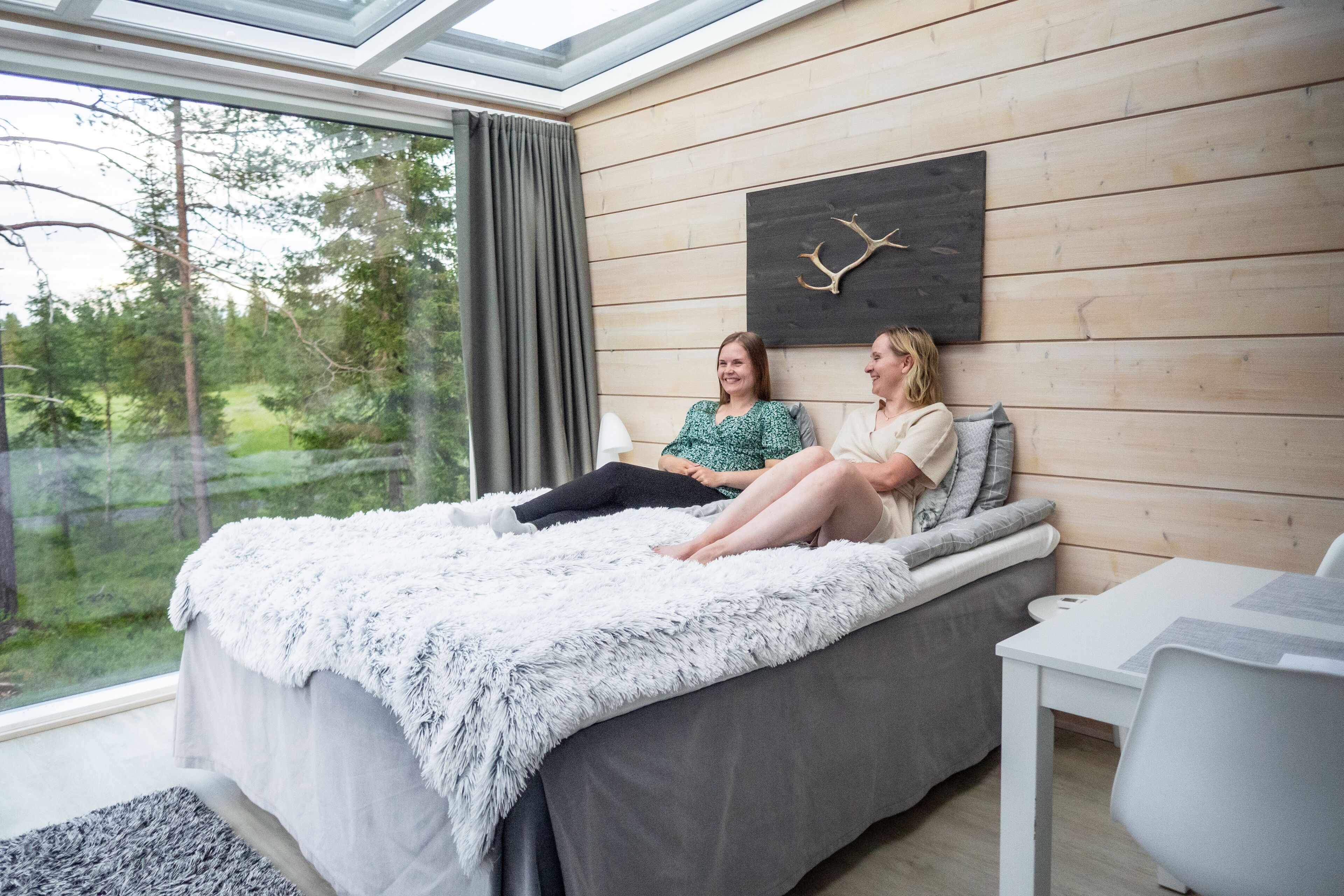 A modern bedroom with a large bed, a wooden wall, a mounted deer antler, and a view of a forest through a window.
