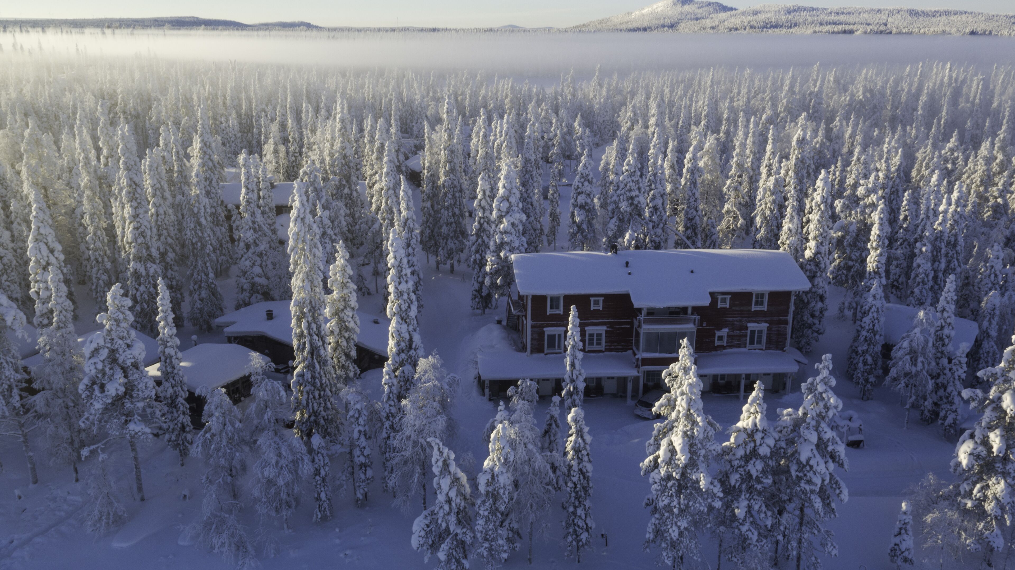 Une cabane entourée d’arbres couverts de neige.