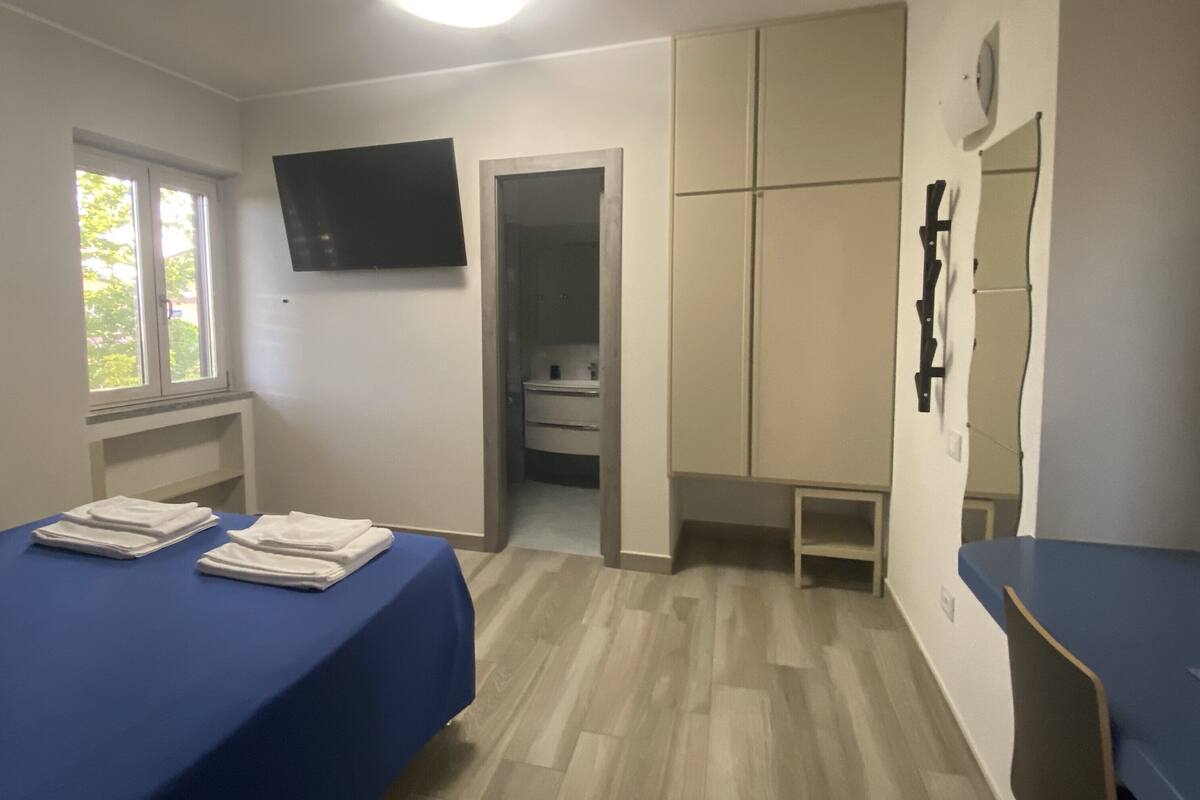 Une chambre avec un lit, un bureau, une télévision et une armoire.