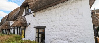 5 Packhorse