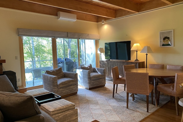 Living room has mini split A/C to keep cool in summer and warm in winter.