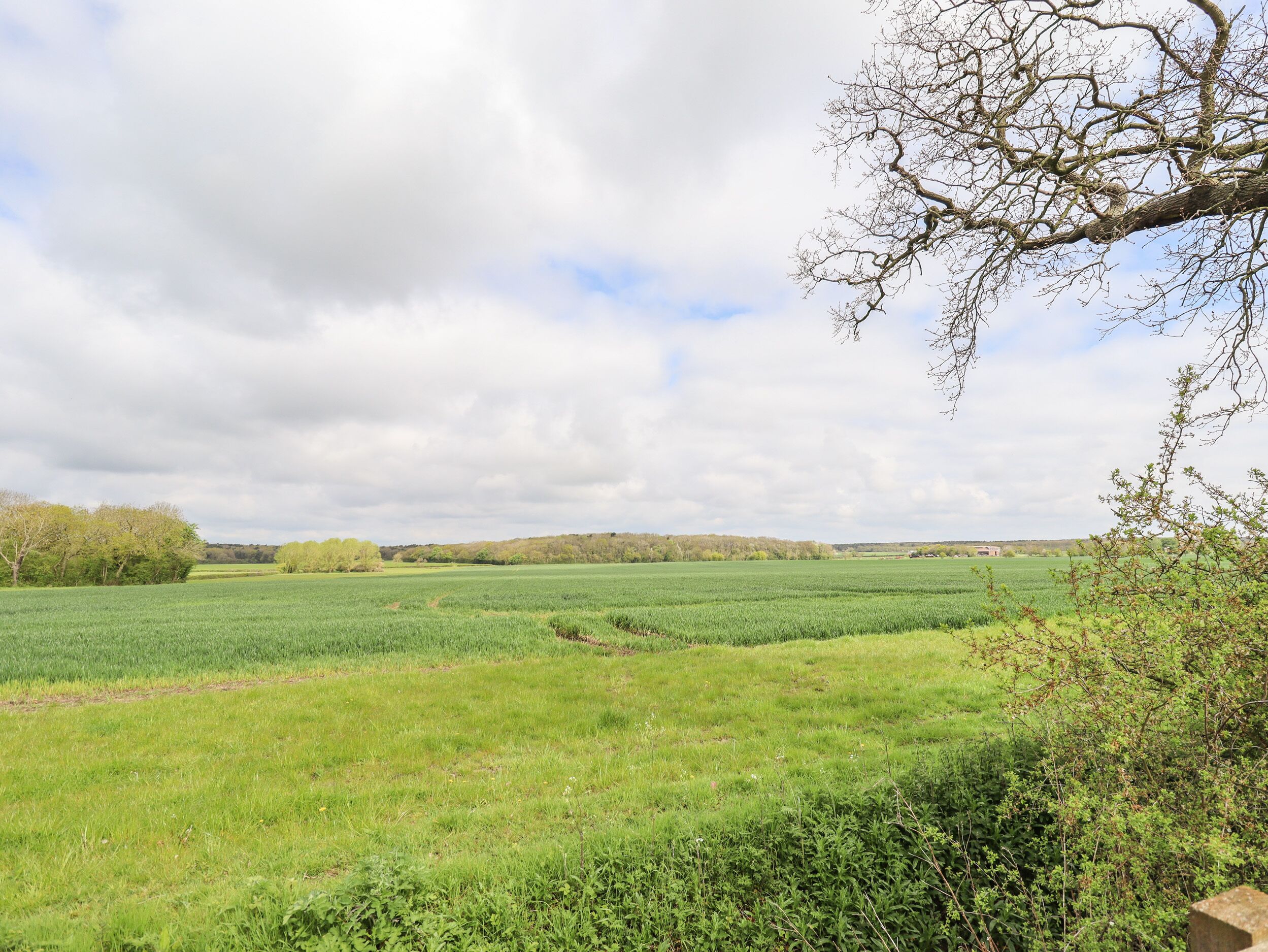 A rural landscape with open fields and a tree in the foreground.