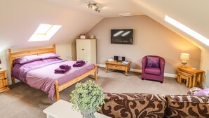 Une chambre avec un plafond en pente, un lit, une télévision, une chaise, une petite table et une plante.