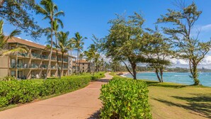 A beachfront hotel with a paved walkway, palm trees, and ocean views. - Resort Living on the Coconut Coast (Kapaa)