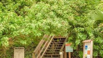 Condo, 2 Bedrooms | Property grounds