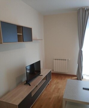 Economy Apartment | Living area