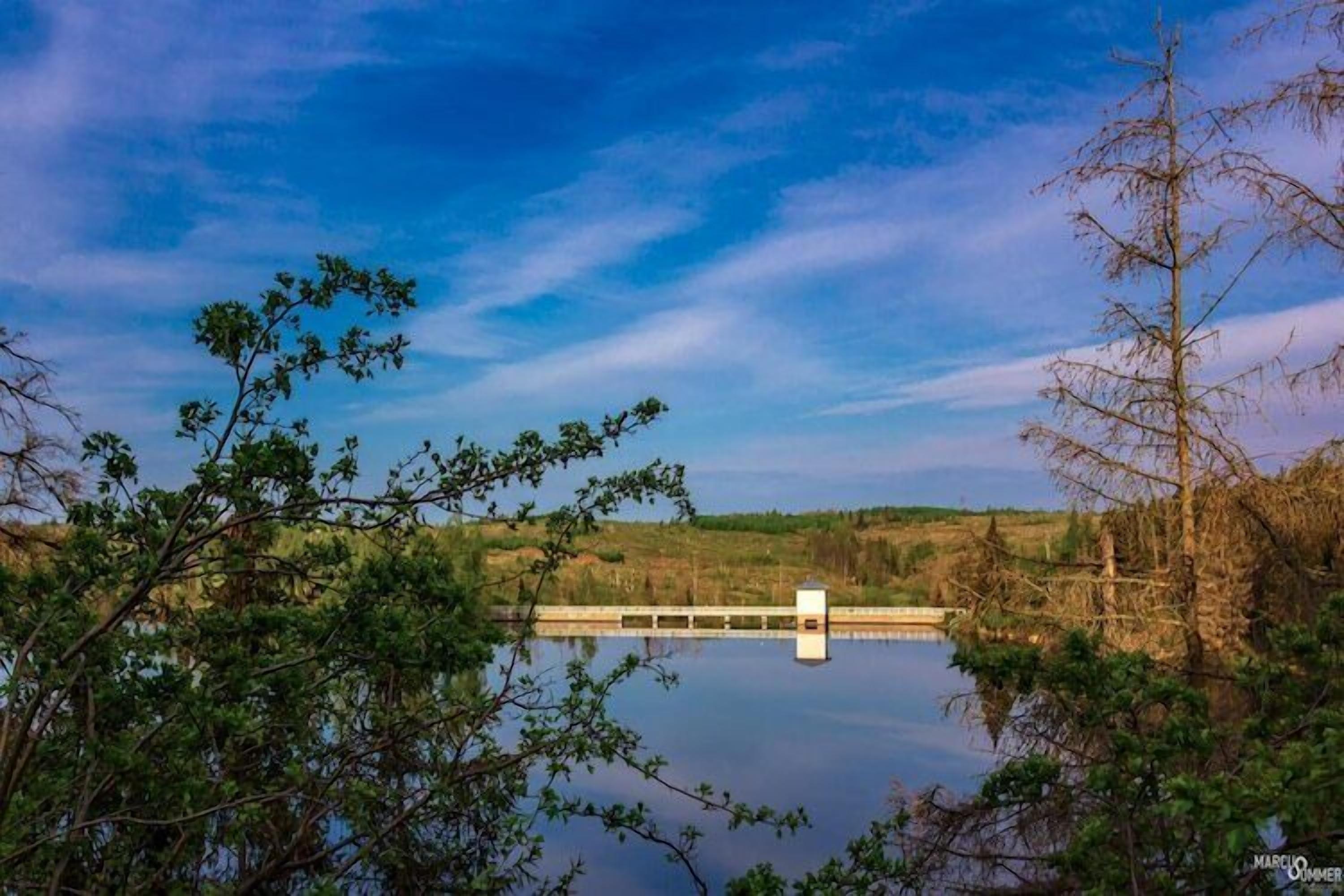 A calm lake with a bridge and trees in the foreground.