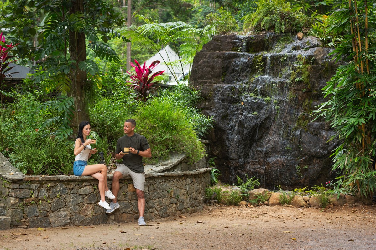 Property grounds - Moksha at Kitulgala Rainforest Boutique (Kithulgala)
