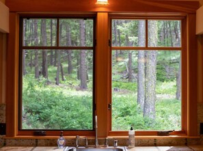 A kitchen with a large window overlooking a forest, a sink, and a soap dispenser.