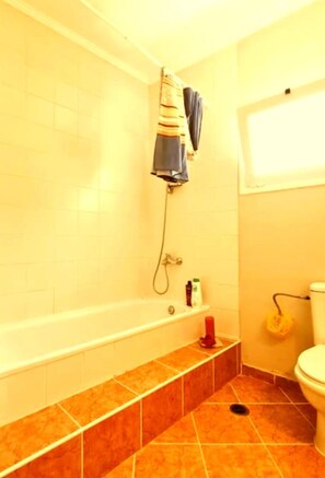Hair dryer, towels, soap, shampoo - Fully furnished tranquil apartment in Zakynthos (Lithakia)