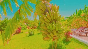 A tropical garden with a banana tree, a wooden deck, and a clear blue sky. - Fully furnished tranquil apartment in Zakynthos (Lithakia)