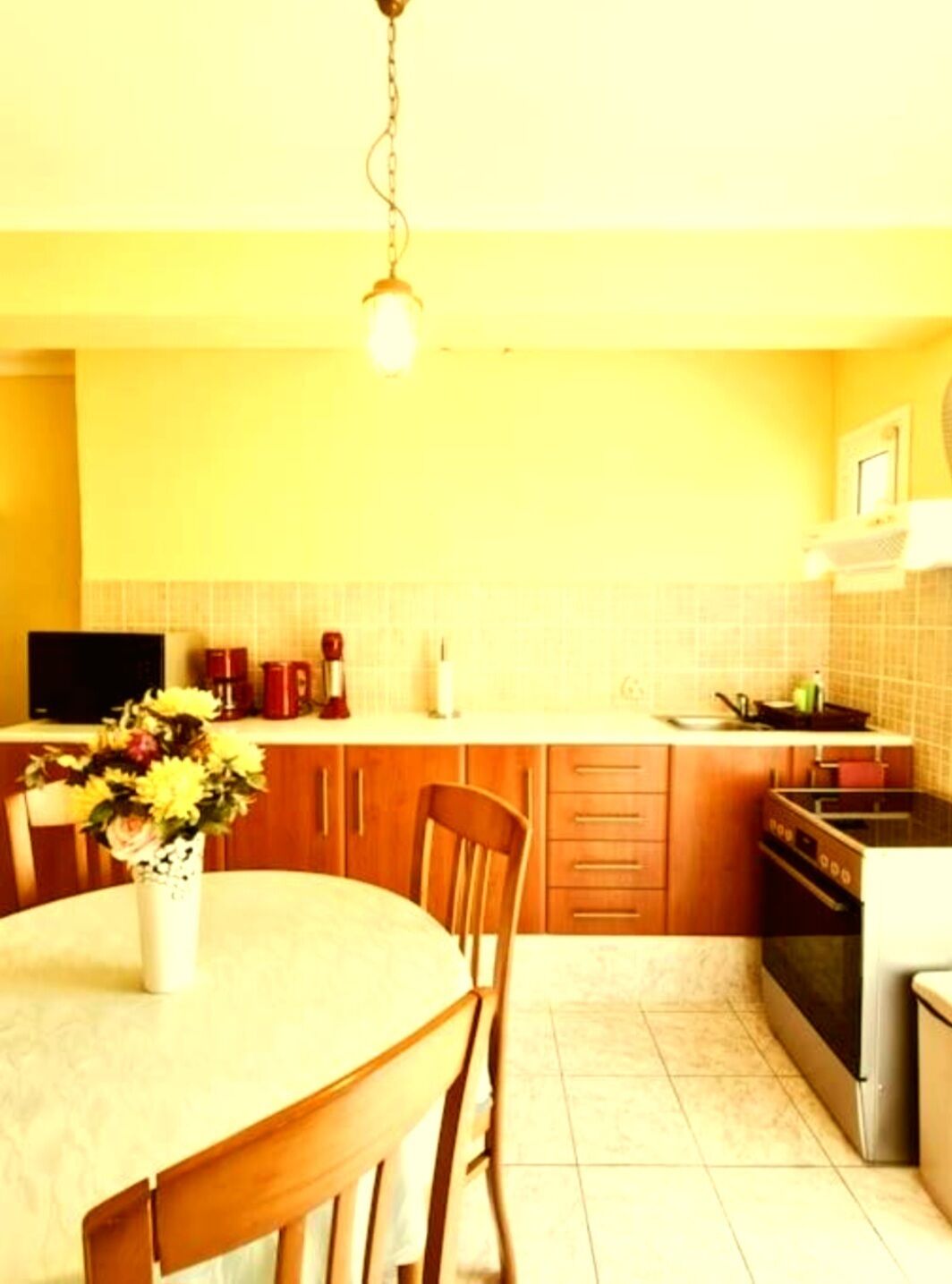 Fridge, oven, cookware/dishes/utensils, dining tables