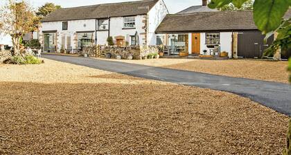 Walnut Cottage - UK43995