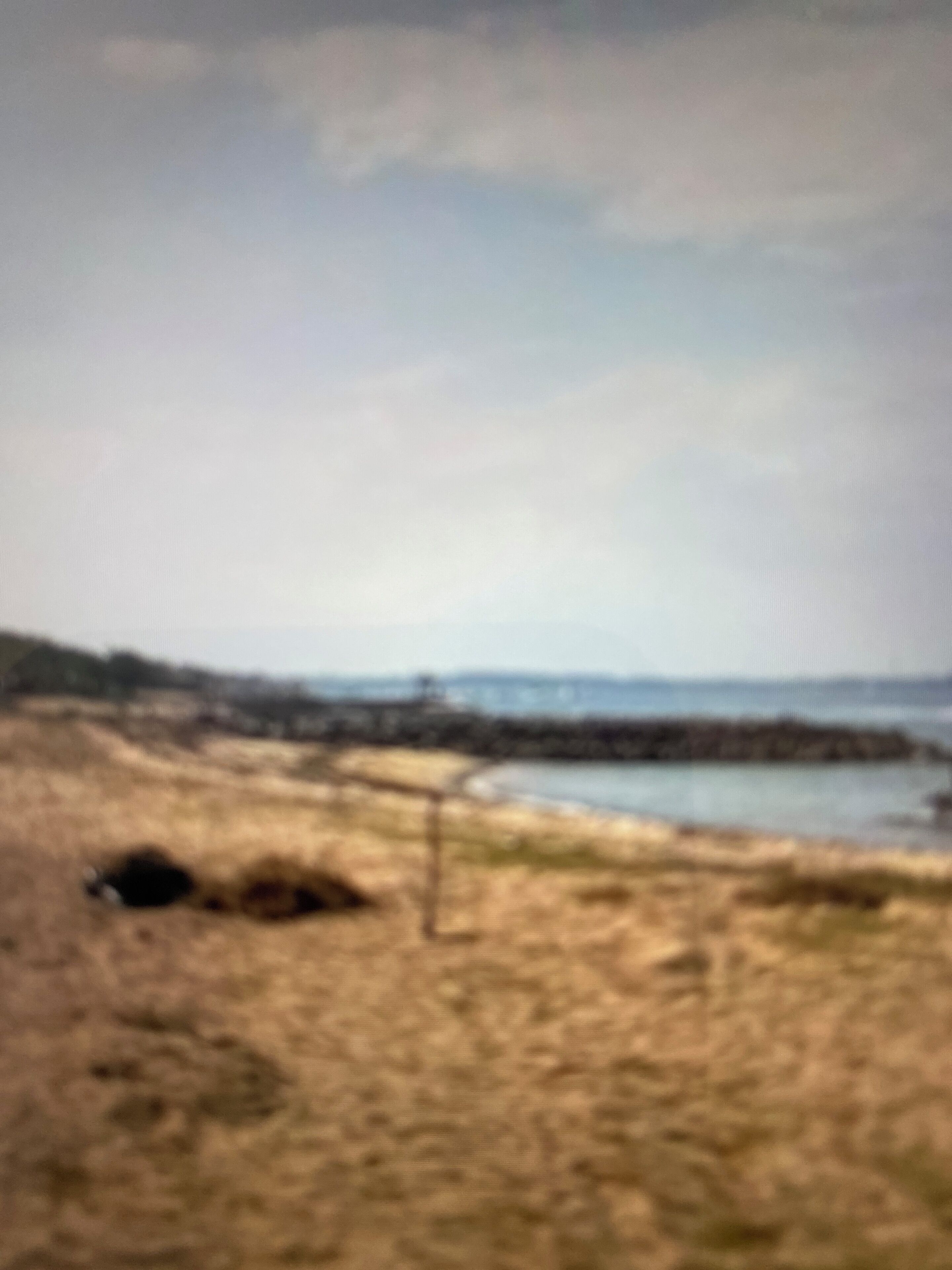 A beach with a rocky shoreline and a pier extending into the water.