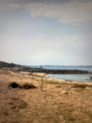 A beach with a rocky shoreline and a pier extending into the water. - Alam Bali Homestay (Nusa Dua)