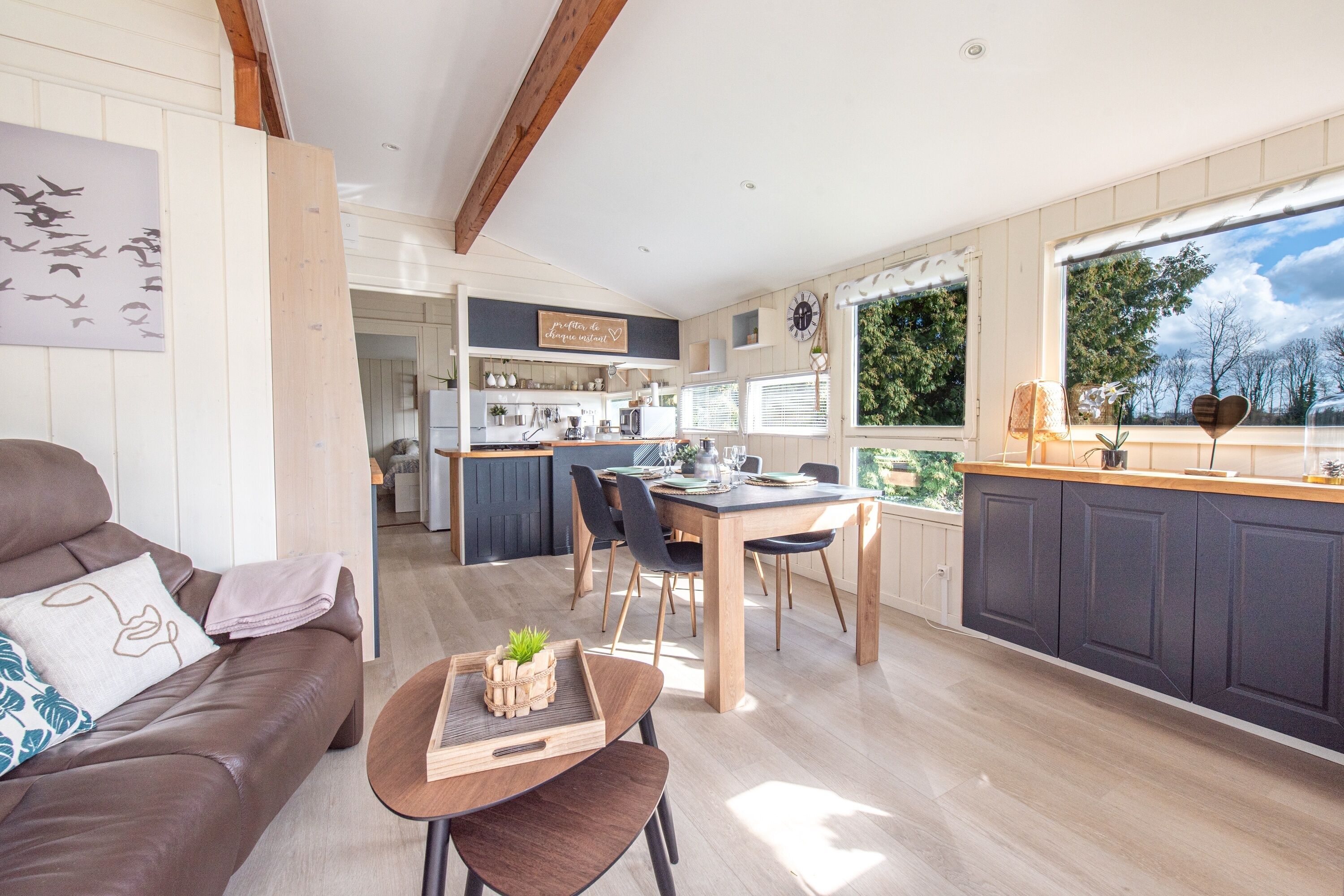 La Mésange - Chalet avec jacuzzi