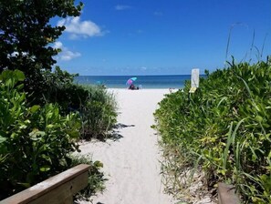 Caminho arenoso na praia que leva ao oceano, com vegetação de ambos os lados.