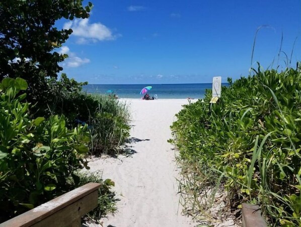Stroll along the beach path lined with lush greenery, leading to a serene public beach area.