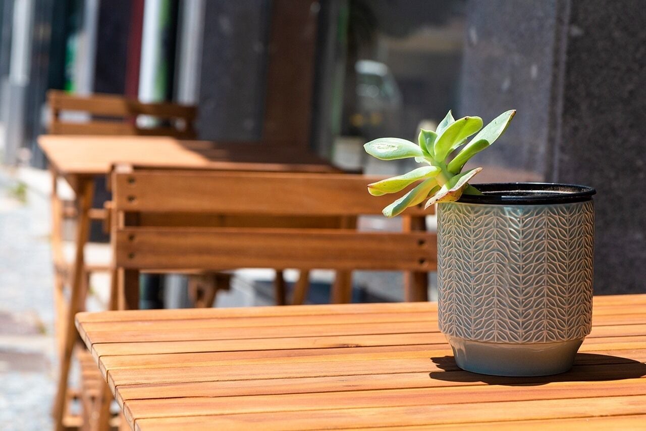 Photo - Arca Nova Guest House - Caminha