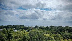 Un paysage côtier caractérisé par une végétation luxuriante et une vue sur la mer.