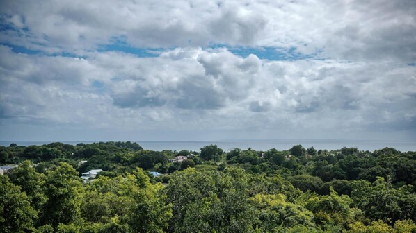 Un paisaje costero con abundante vegetación y vista al mar.