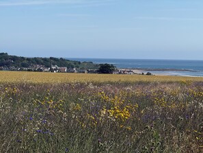Miscellaneous - Lonnon Cottage (Alnwick)