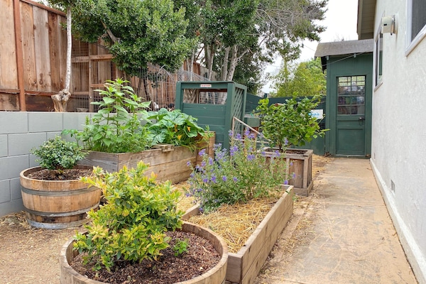 Overnattingsstedets uteområder