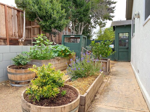 Family Friendly Homestead + 2 Aquarium Passes located 25 minutes from Monterey