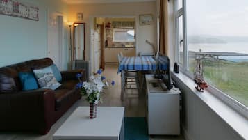 TV, DVD player, books, video library