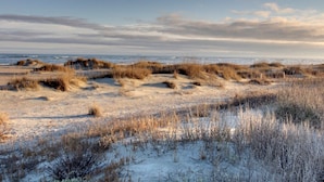Une plage de sable avec des dunes et une végétation clairsemée.
