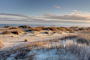 On the beach - Water’s Edge | Oceanfront Deck with Sunrise Views in Mariner’s Walk (Isle of Palms)