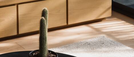 Smart TV, Netflix, estación para iPod, servicios de streaming